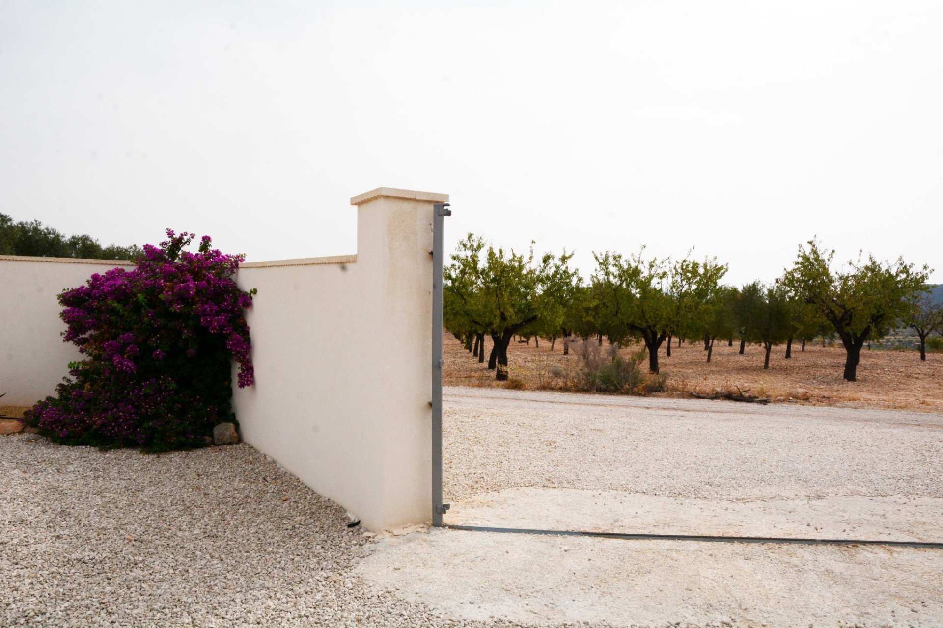 Återförsäljning - Finca / Country Property - Macisvenda