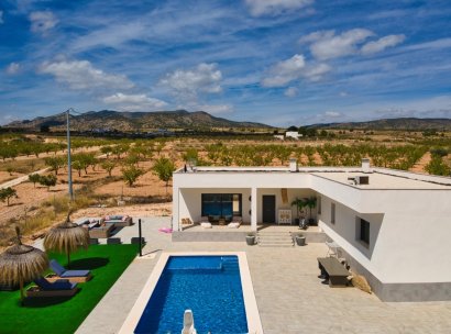 Villa · Herverkoop - Pinoso · Alicante · Spanje