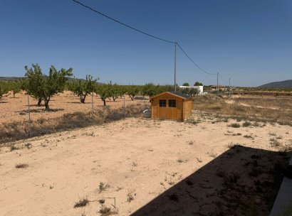 Villa · Herverkoop - Pinoso · Alicante · Spanje