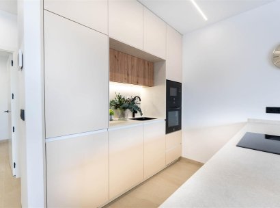 Villa · New Build - San Pedro del Pinatar · Murcia · Spain