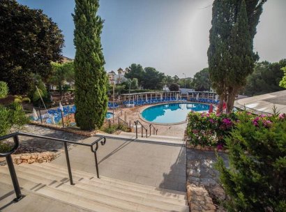 Studiosmánit · Återförsäljning - La Manga Club · Murcia · Spanien