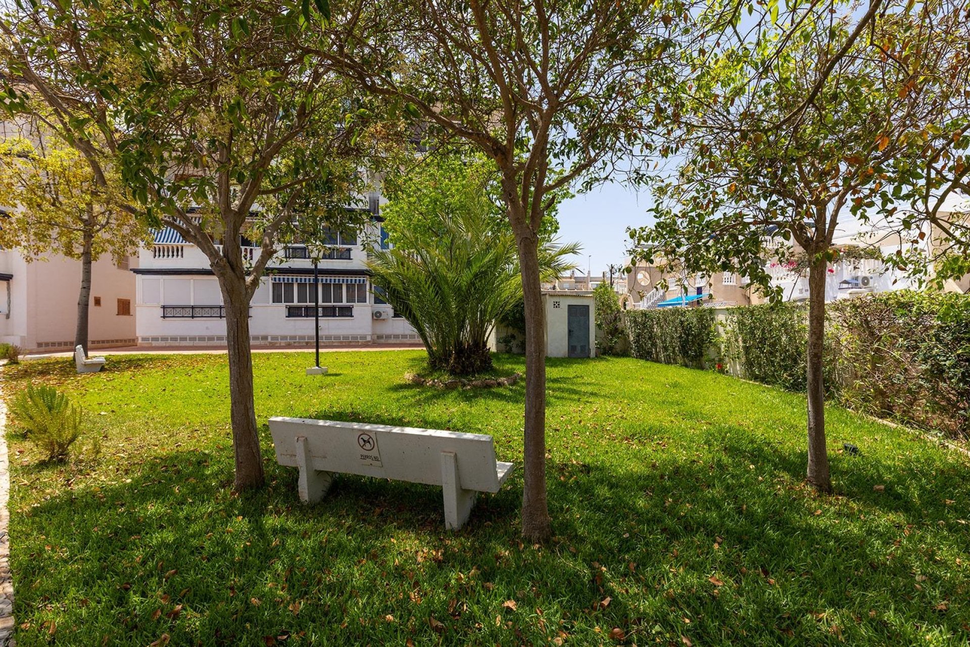 Wiederverkauf - Bungalow - Torrevieja - Costa Blanca Süd
