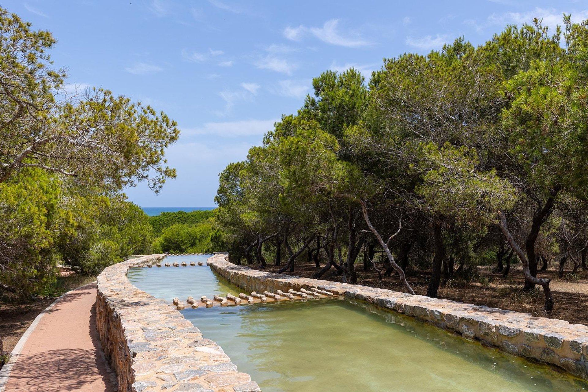 Wiederverkauf - Bungalow - Torrevieja - Costa Blanca Süd