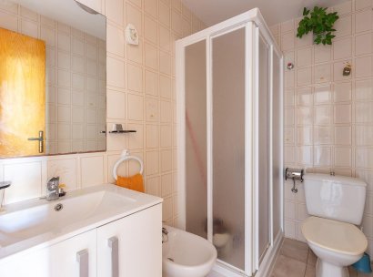 Flat · Herverkoop - Torrevieja · La Mata · Alicante · Spanje