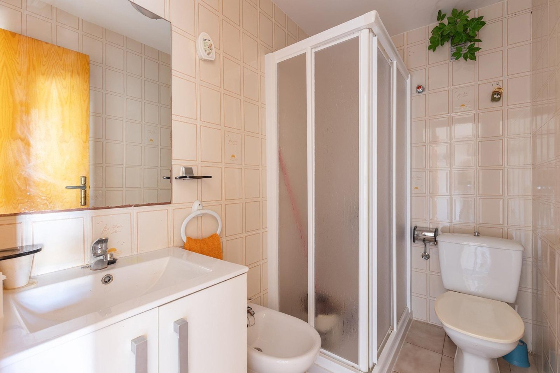 Reventa - Flat - Torrevieja - Costa Blanca Sur