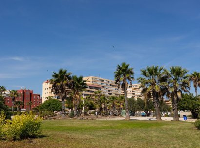 Flat · Herverkoop - Torrevieja · La Mata · Alicante · Spanje