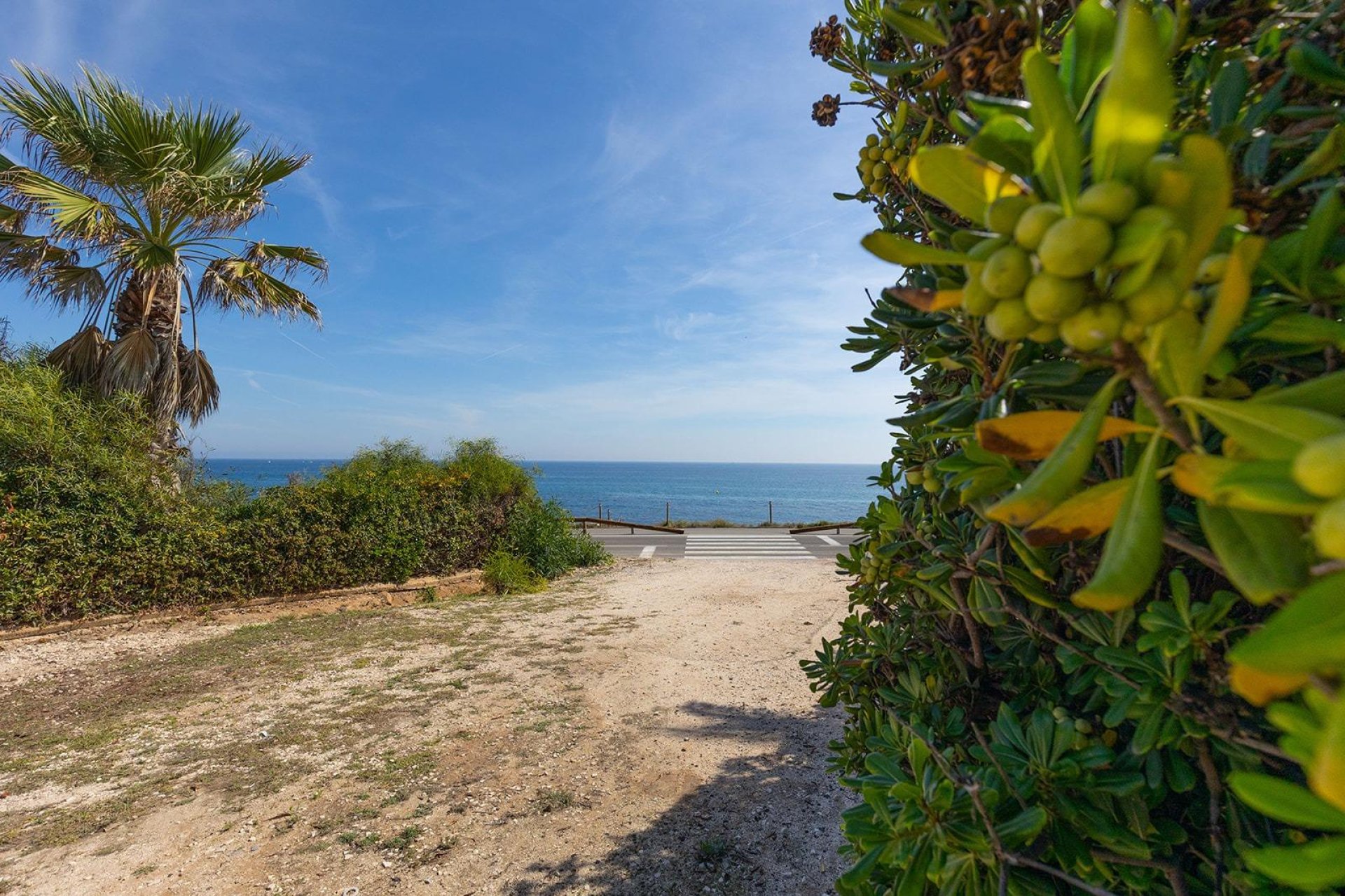 Reventa - Flat - Torrevieja - Costa Blanca Sur