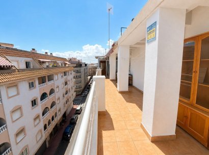 Penthouse · Herverkoop - Torrevieja · Estacion de autobuses · Alicante · Spanje
