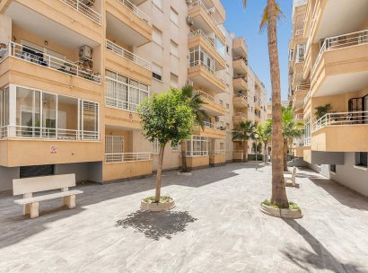 Penthouse · Herverkoop - Torrevieja · Estacion de autobuses · Alicante · Spanje