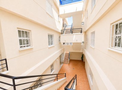 Appartement · Herverkoop - Torrevieja · Estacion de autobuses · Alicante · Spanje