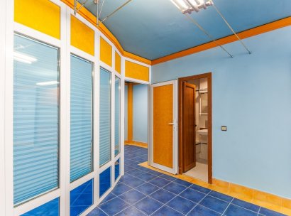 Commercial Unit · Herverkoop - Orihuela Costa · La Regia · Alicante · Spanje