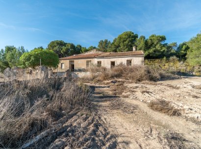 Country land · Herverkoop - Pilar de la Horadada · Pinar de la Perdiz · Alicante · Spanje
