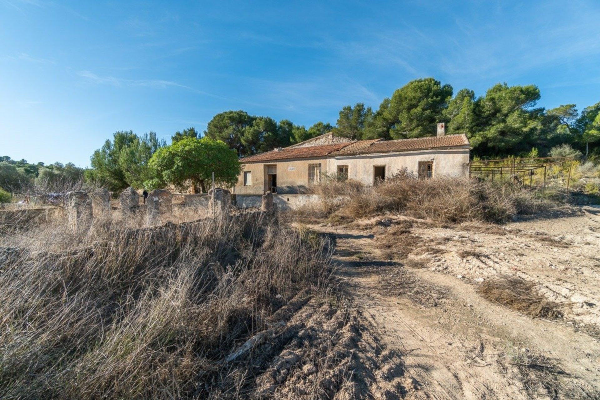 Herverkoop - Country land - Pilar de la Horadada - Costa Blanca South