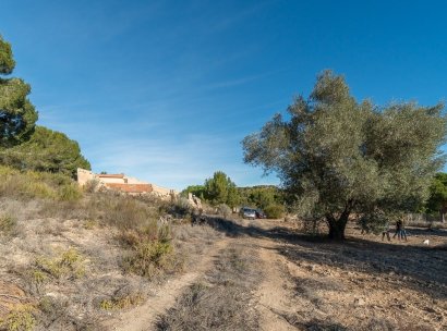 Country land · Herverkoop - Pilar de la Horadada · Pinar de la Perdiz · Alicante · Spanje