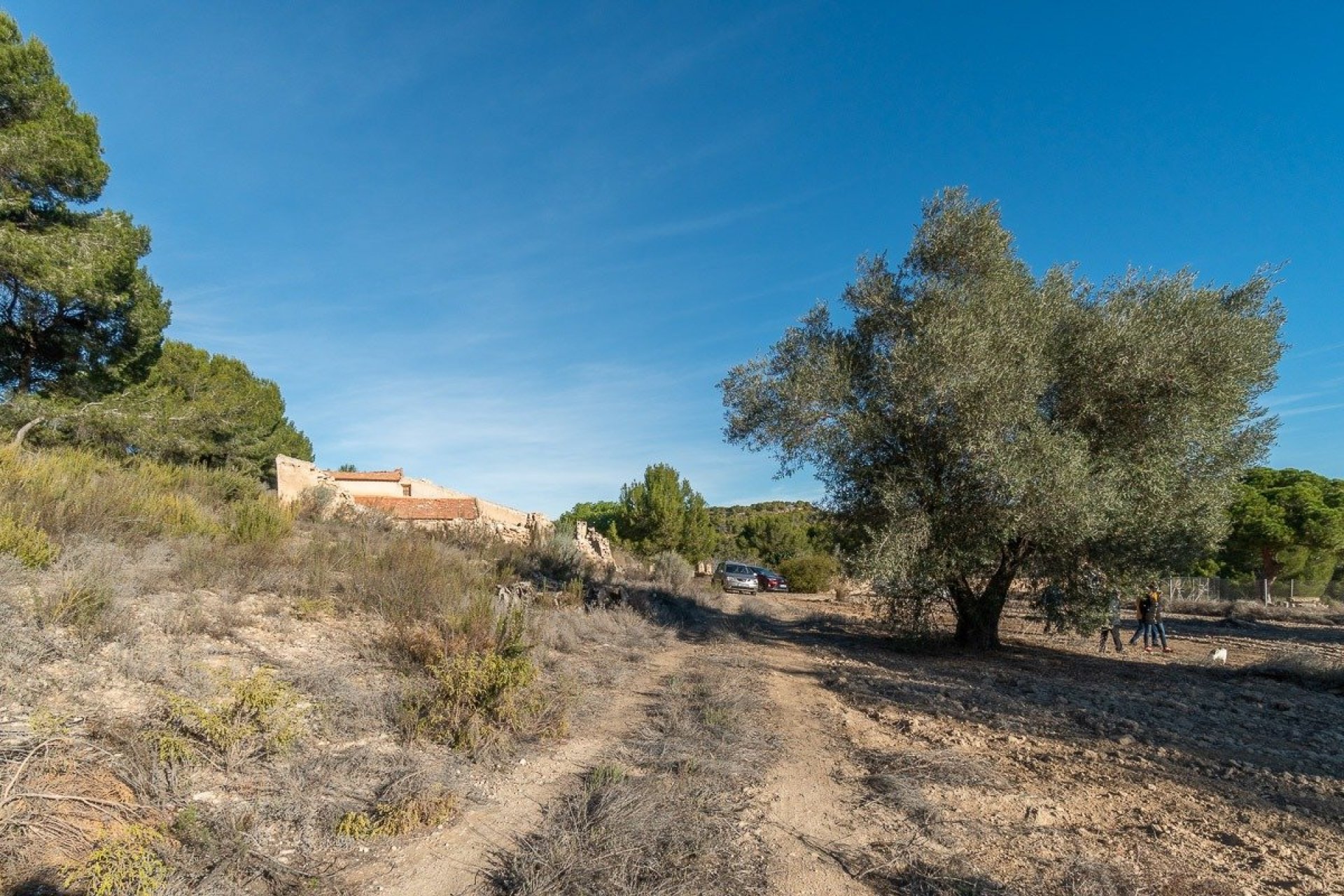 Herverkoop - Country land - Pilar de la Horadada - Costa Blanca South