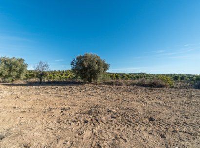 Country land · Herverkoop - Pilar de la Horadada · Pinar de la Perdiz · Alicante · Spanje