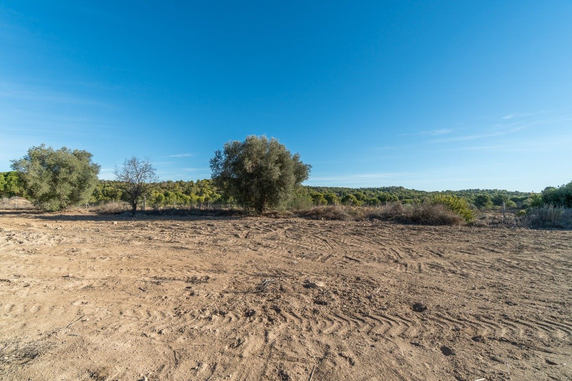 Herverkoop - Country land - Pilar de la Horadada - Costa Blanca South