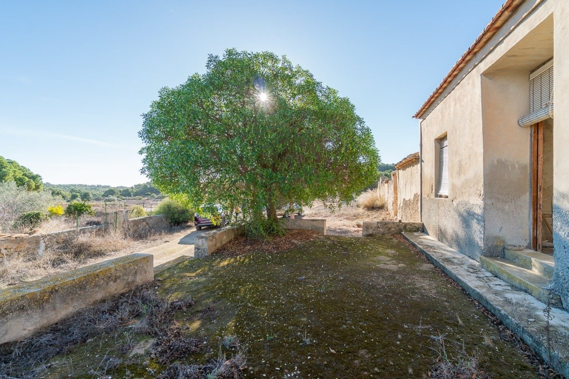 Herverkoop - Country land - Pilar de la Horadada - Costa Blanca South
