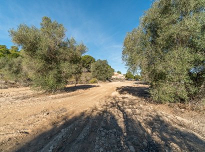 Country land · Herverkoop - Pilar de la Horadada · Pinar de la Perdiz · Alicante · Spanje