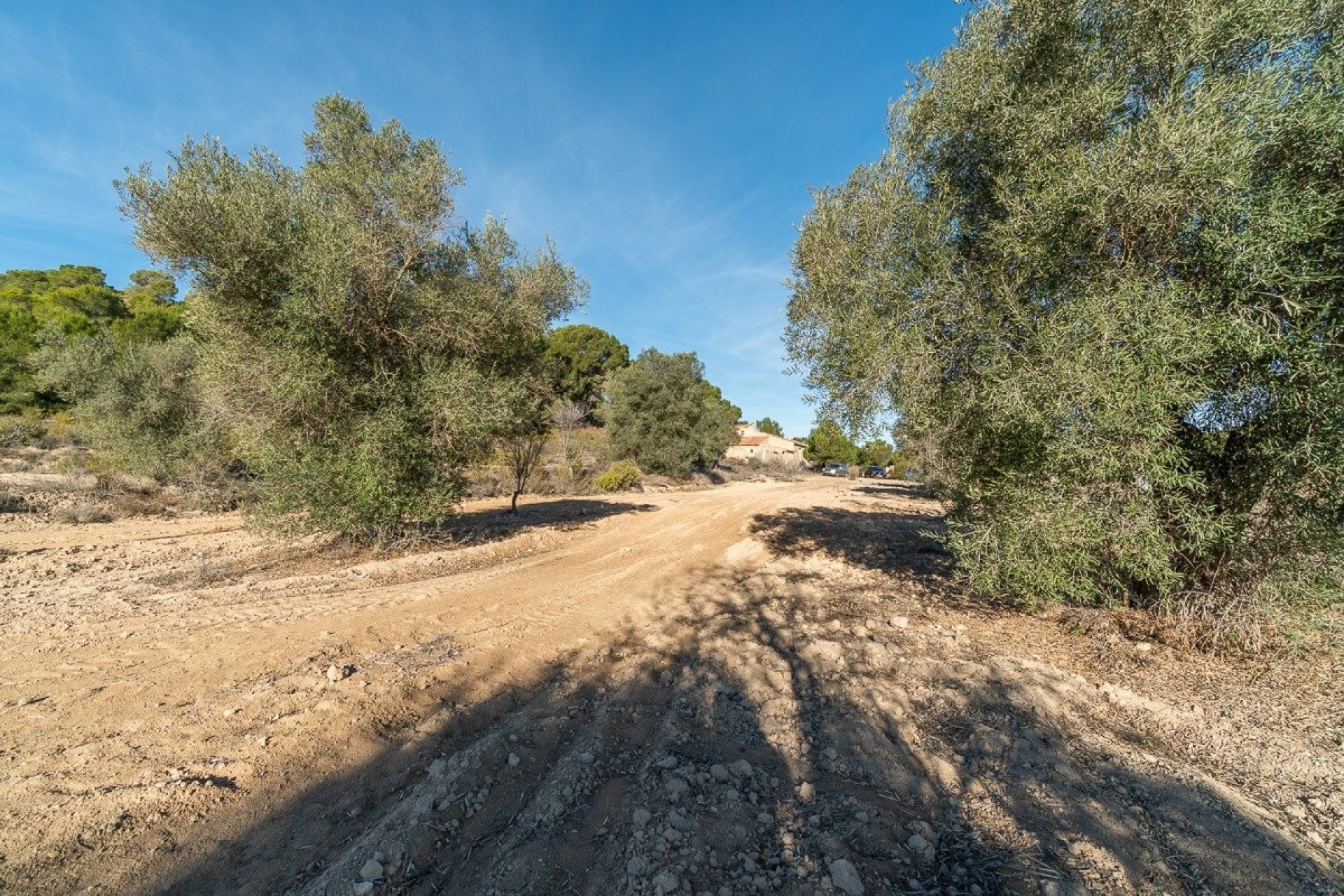 Herverkoop - Country land - Pilar de la Horadada - Costa Blanca South