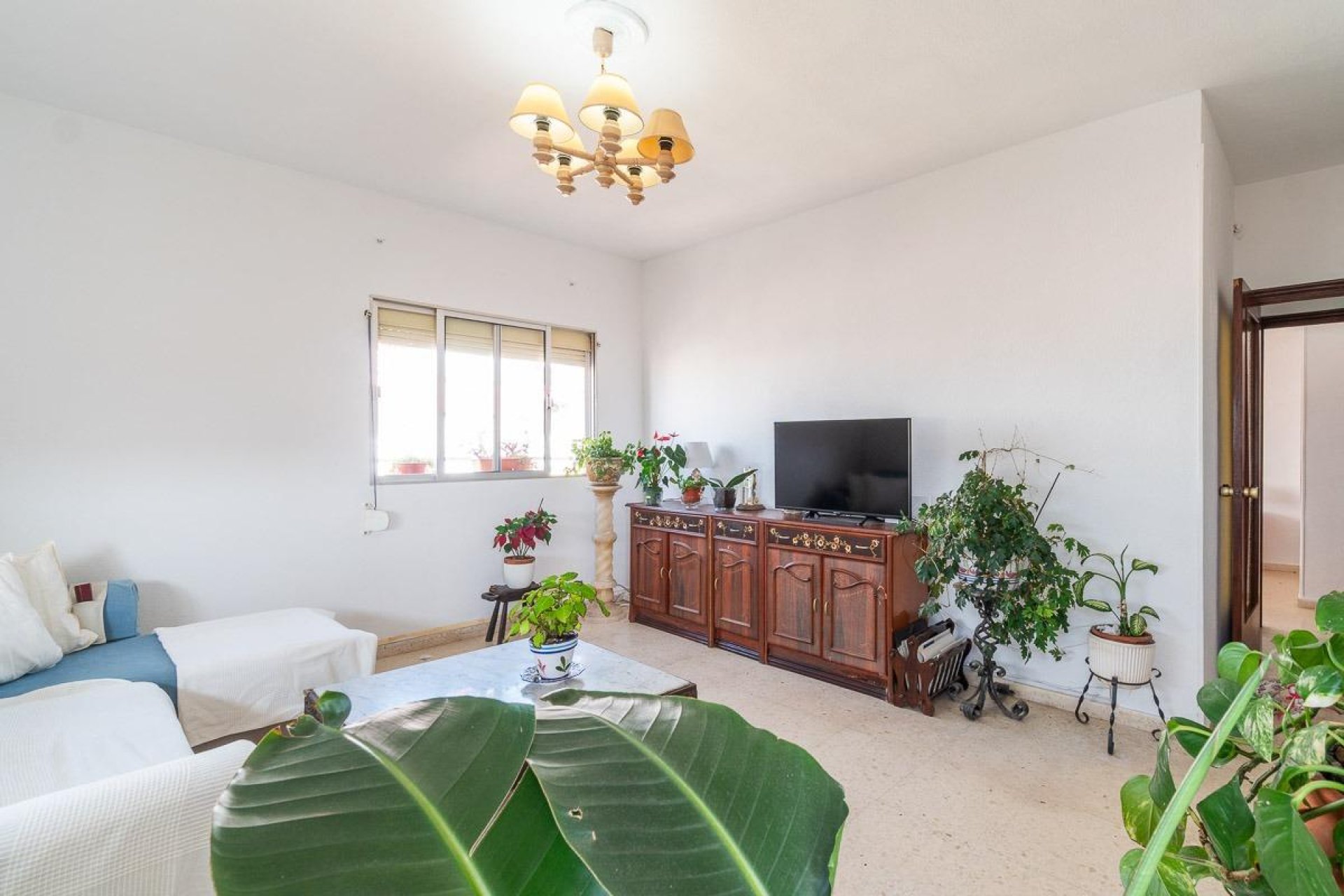 Herverkoop - Appartement - Torrevieja - Costa Blanca South