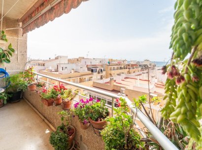 Appartement · Herverkoop - Torrevieja · Centro · Alicante · Spanje