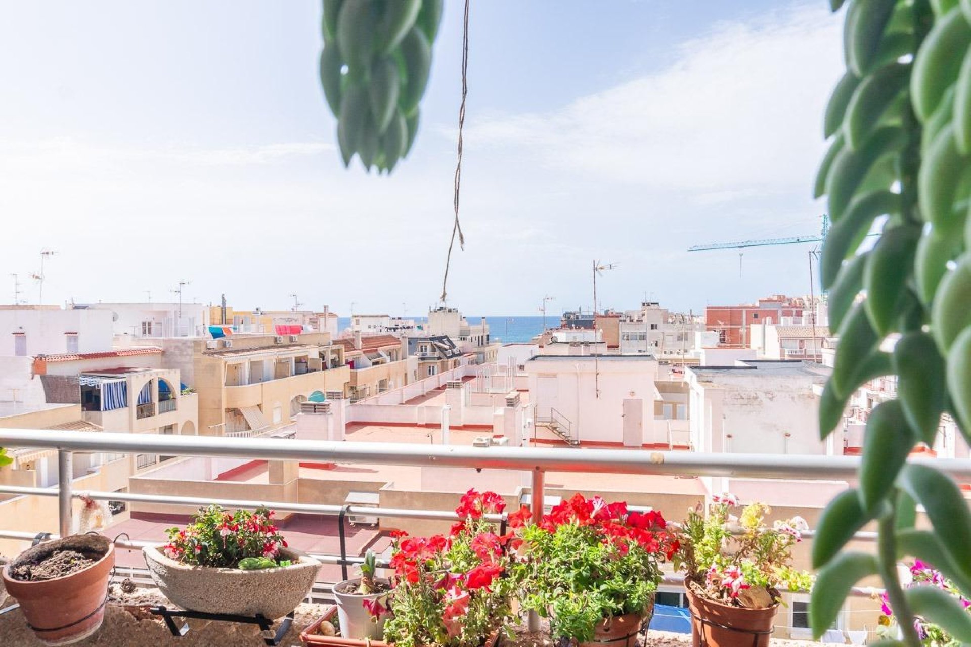 Herverkoop - Appartement - Torrevieja - Costa Blanca South