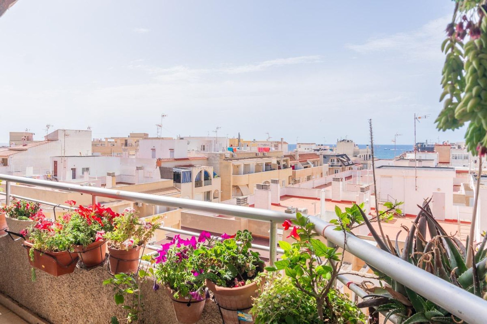 Herverkoop - Appartement - Torrevieja - Costa Blanca South