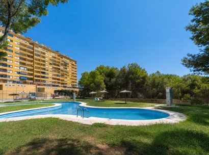 Appartement · Herverkoop - Orihuela Costa · Campoamor · Alicante · Spanje