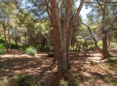 Appartement · Herverkoop - Orihuela Costa · Campoamor · Alicante · Spanje
