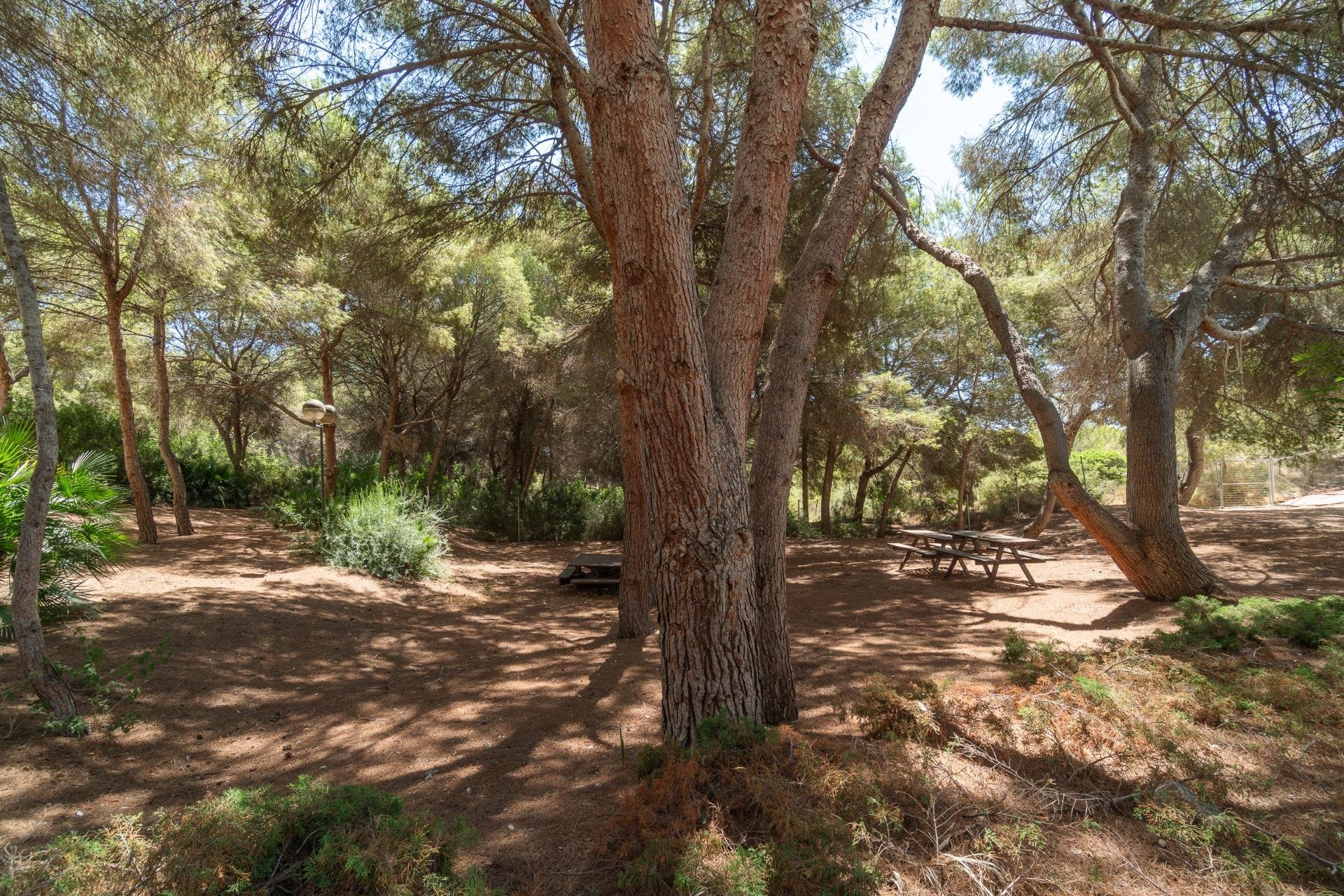 Herverkoop - Appartement - Orihuela Costa - Costa Blanca South