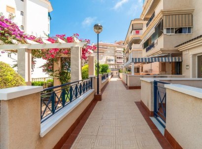 Flat · Lange Termijn Verhuur - Torrevieja · La Mata · Alicante · Spanje