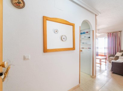 Flat · Lange Termijn Verhuur - Torrevieja · La Mata · Alicante · Spanje
