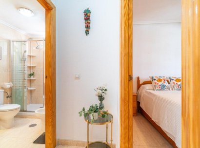 Flat · Lange Termijn Verhuur - Torrevieja · La Mata · Alicante · Spanje