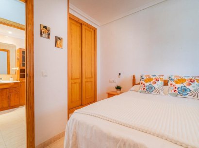 Flat · Lange Termijn Verhuur - Torrevieja · La Mata · Alicante · Spanje
