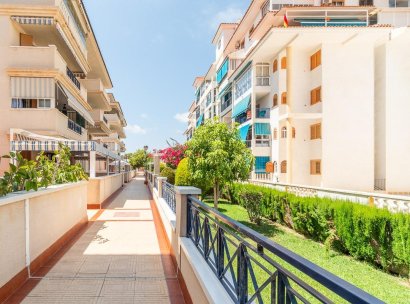 Flat · Lange Termijn Verhuur - Torrevieja · La Mata · Alicante · Spanje