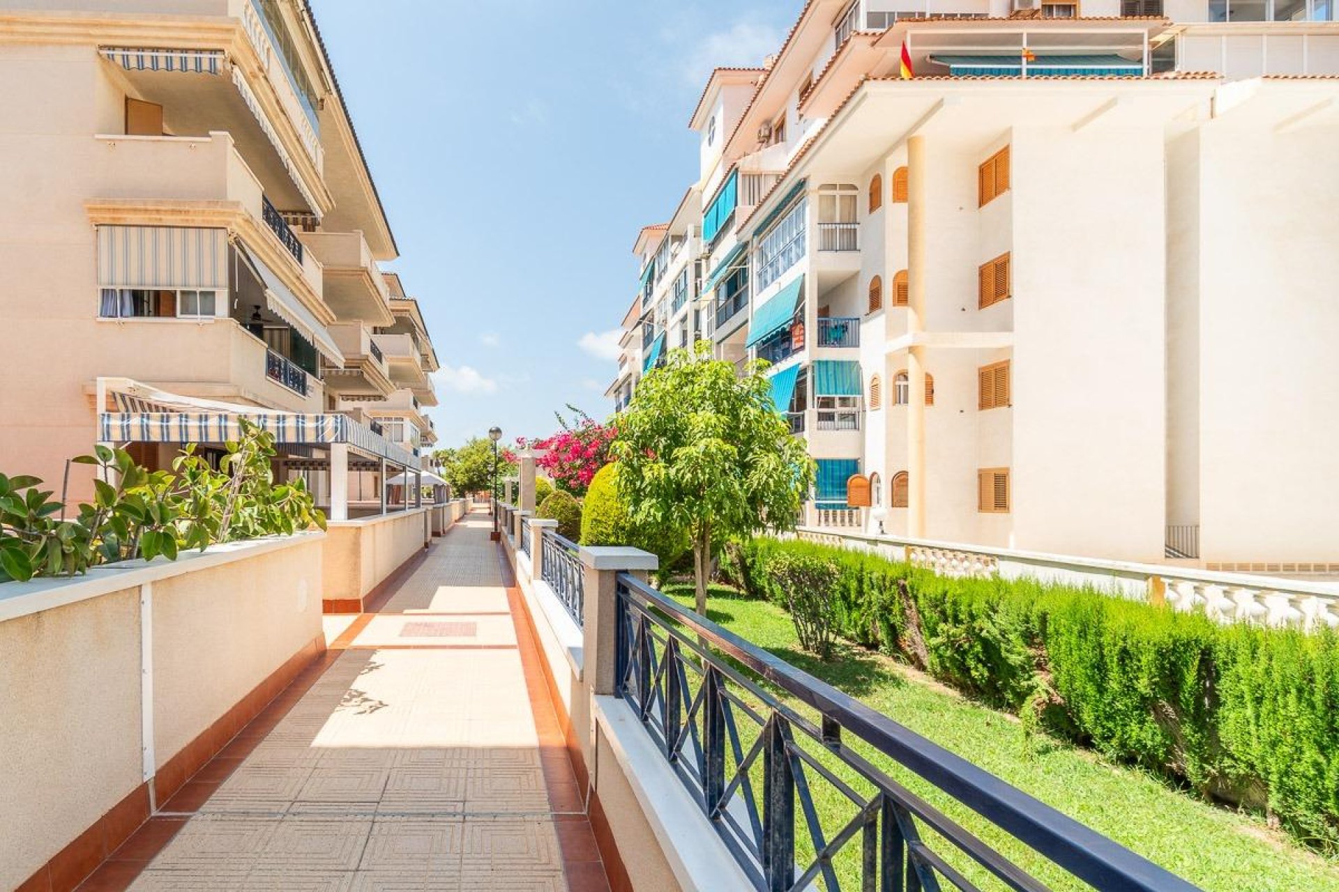 Lange Termijn Verhuur - Flat - Torrevieja - Costa Blanca South