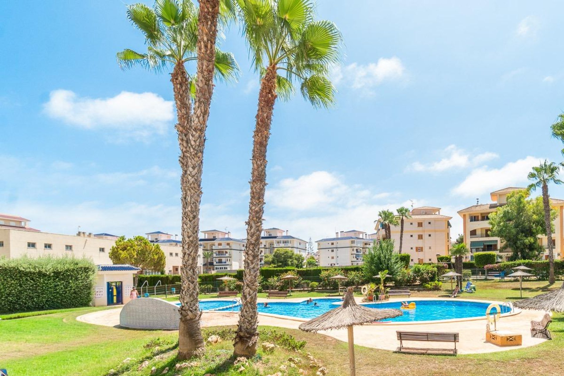 Lange Termijn Verhuur - Flat - Torrevieja - Costa Blanca South