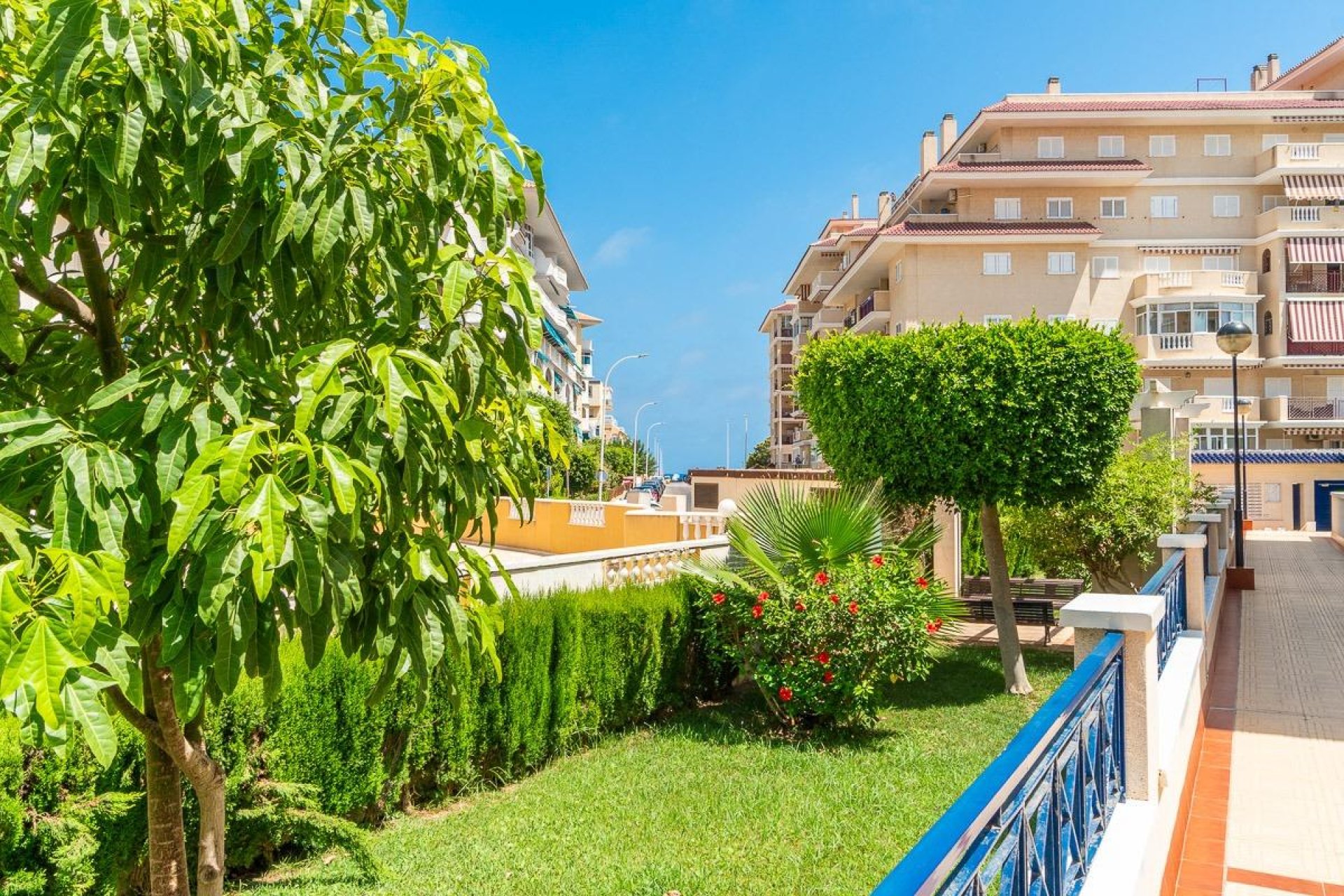 Lange Termijn Verhuur - Flat - Torrevieja - Costa Blanca South