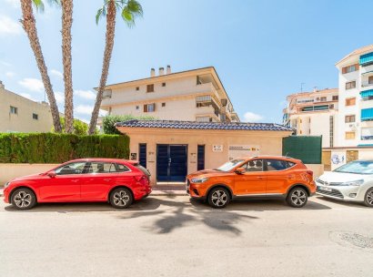 Flat · Lange Termijn Verhuur - Torrevieja · La Mata · Alicante · Spanje