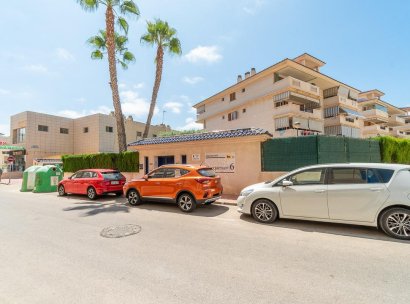 Flat · Lange Termijn Verhuur - Torrevieja · La Mata · Alicante · Spanje