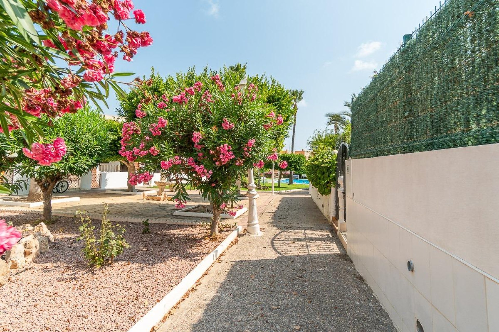 Herverkoop - Appartement - Torrevieja - Costa Blanca South