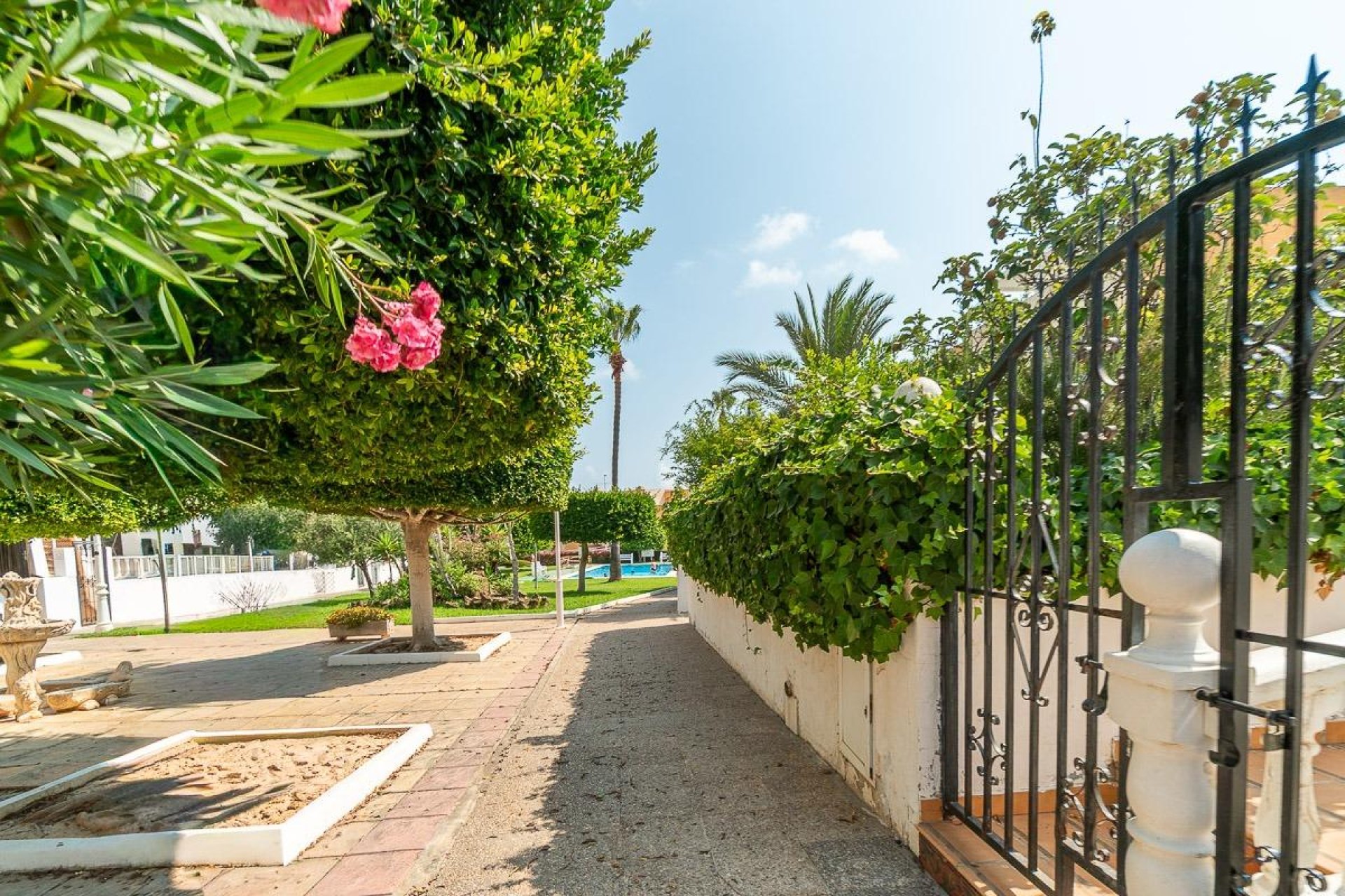 Herverkoop - Appartement - Torrevieja - Costa Blanca South