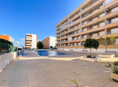 Penthouse · Resale - Punta Prima · Alicante · Spain