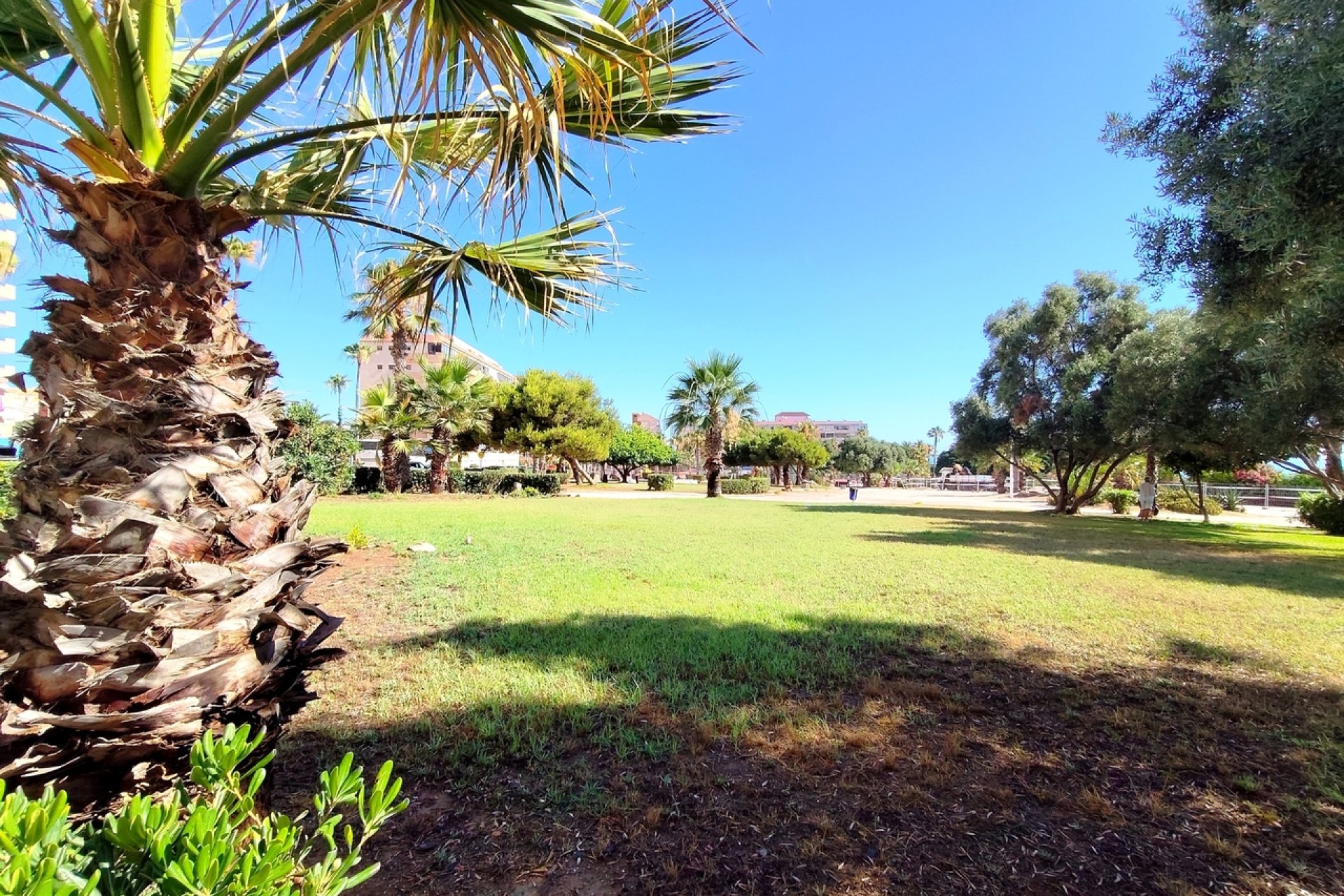 Herverkoop - Appartement - Torrevieja - Costa Blanca South