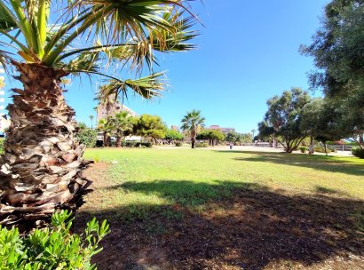 Appartement · Herverkoop - Torrevieja · Alicante · Spanje