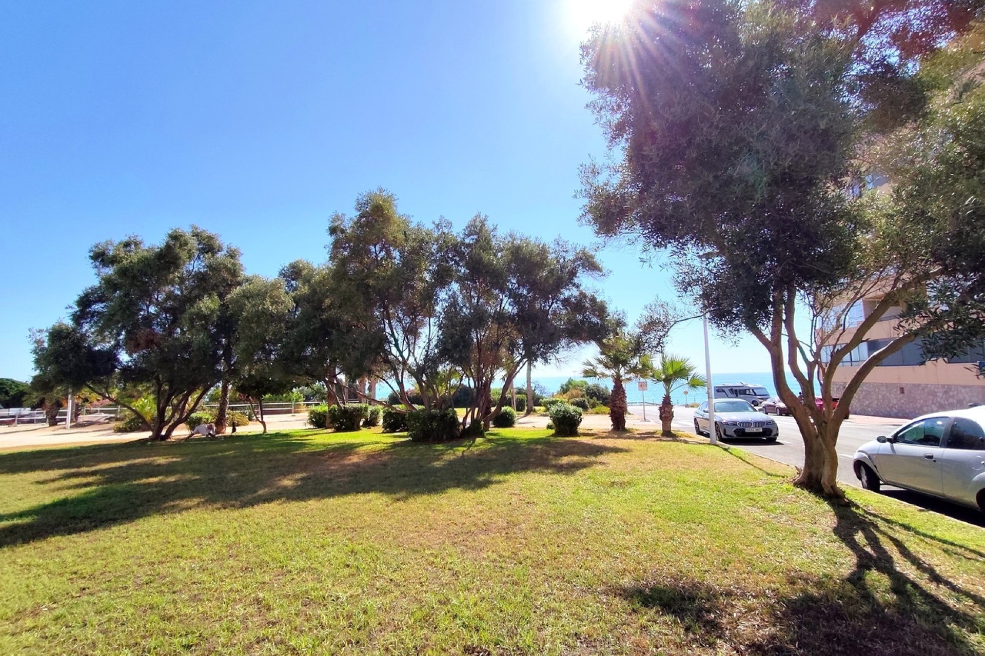 Herverkoop - Appartement - Torrevieja - Costa Blanca South