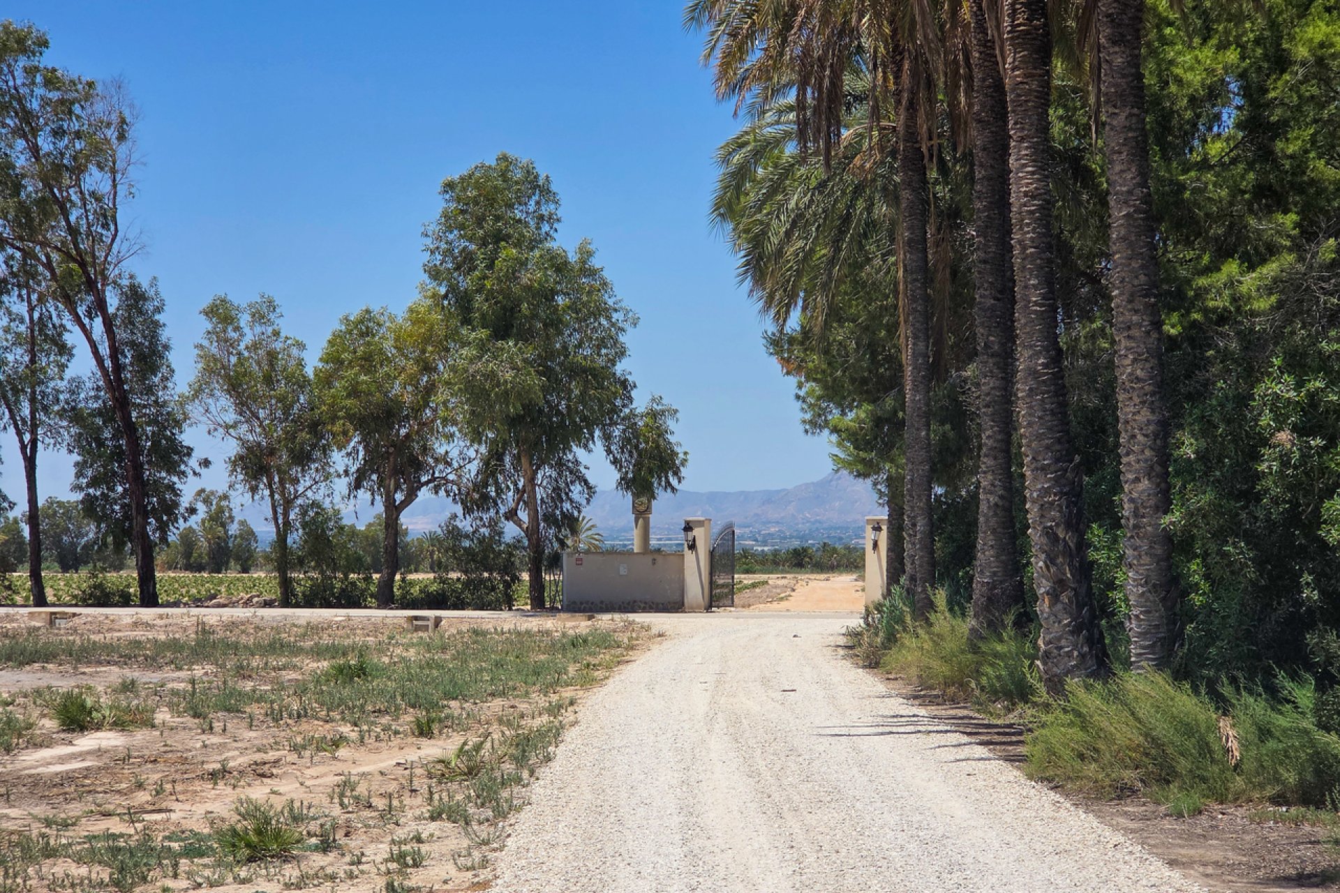Återförsäljning - Villa - Elche - Costa Blanca South