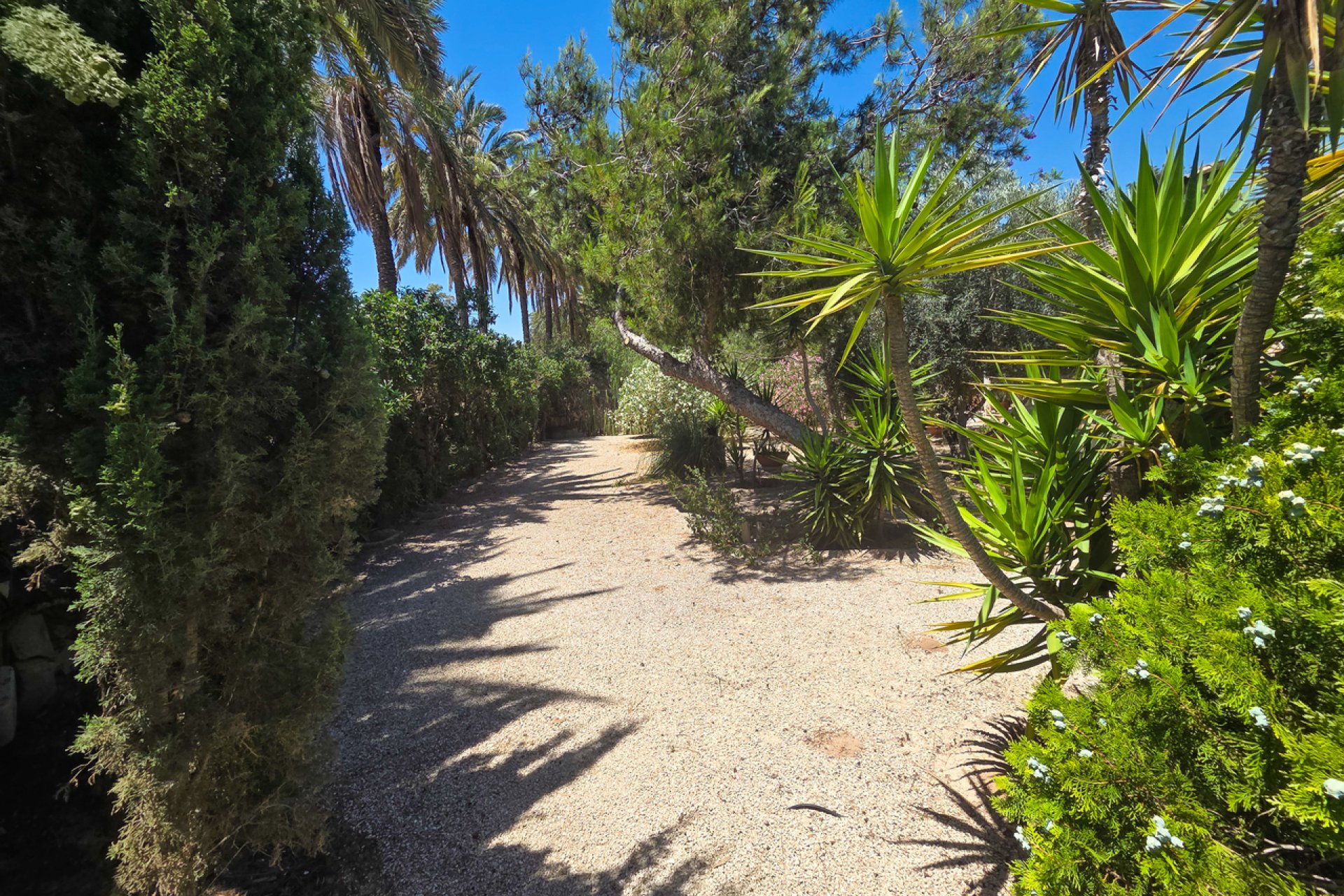 Återförsäljning - Villa - Elche - Costa Blanca South
