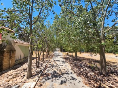 Villa · Återförsäljning - Elche · Alicante · Spanien